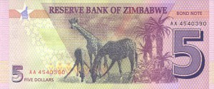 zim100rs.jpg