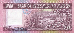 swazi7rs.jpg