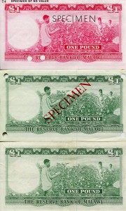 malawi3rs.jpg