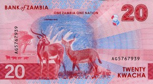 zambia63rs.jpg