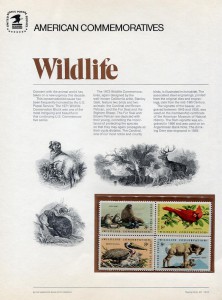 wildlife.jpg