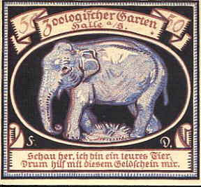 elefant6.jpg