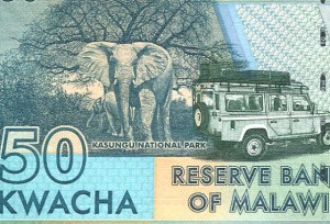 elefant-malawi2.jpg