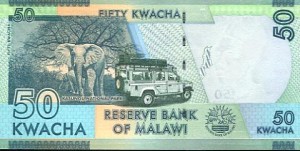 elefant-malawi1.jpg
