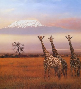 giraffe5.jpg