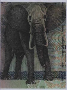 elefant-ug0001.jpeg