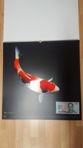 Kalender2010-01.jpg