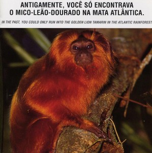 affe-brasil 20RS.jpg